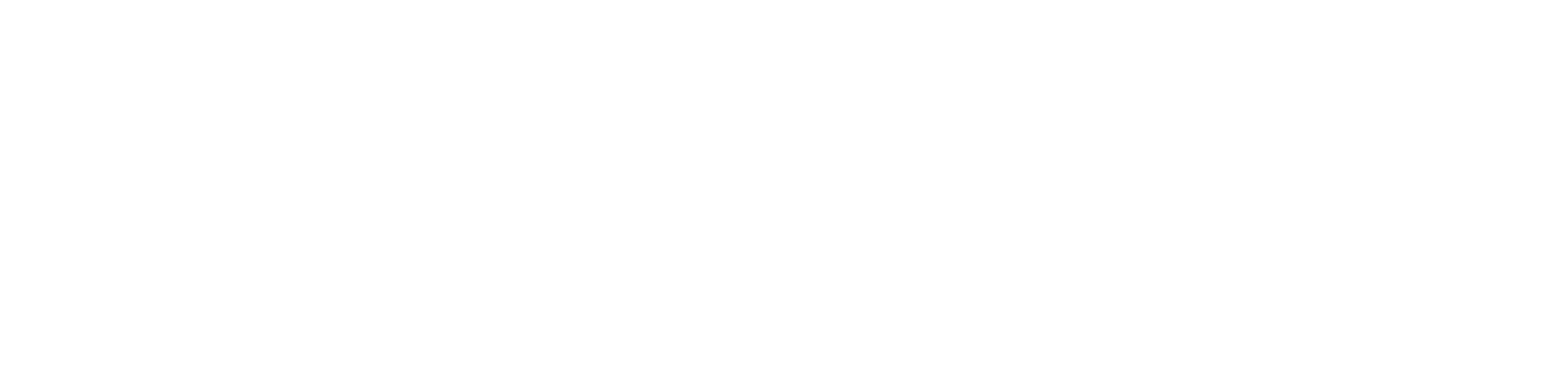 Magnolia Boone Paperie logo