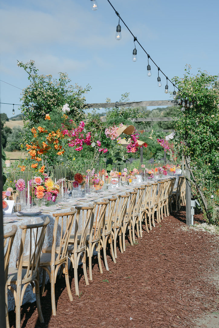 Carey and John wedding, photograph 17