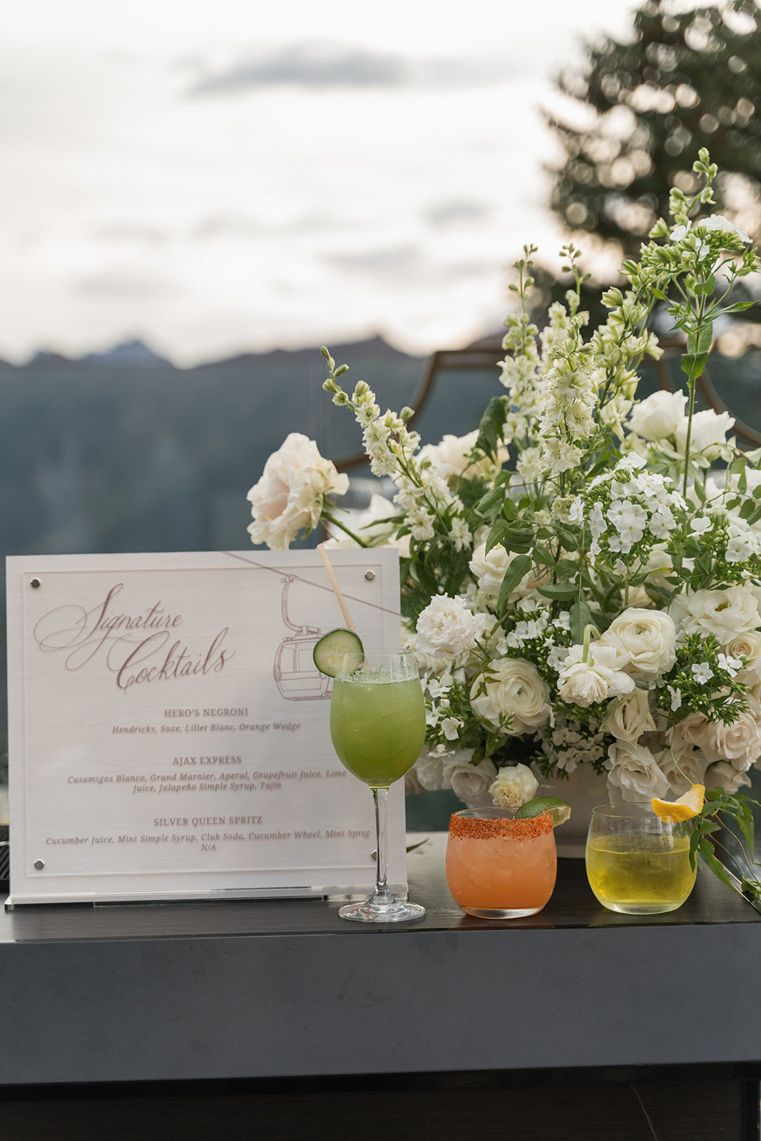 Catherine and Ashton wedding, photograph 13