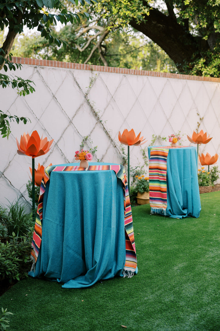 Cinco de Mayo Fiesta, photograph 13