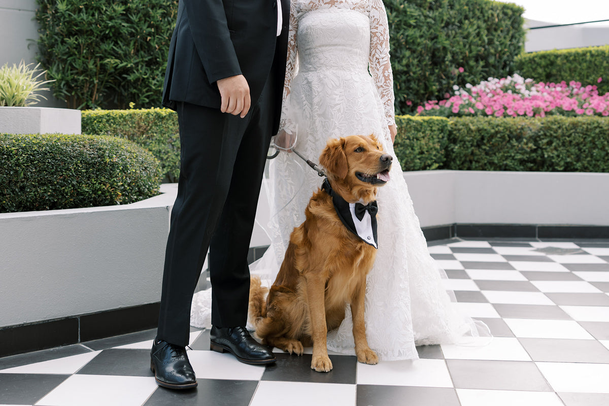 Lauryn and Blake wedding, photograph 18