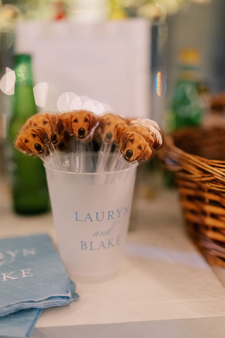 Lauryn and Blake wedding, photograph 19