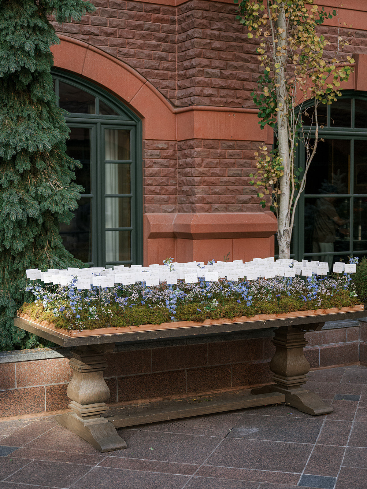 Peyton and Jeffrey wedding, photograph 19