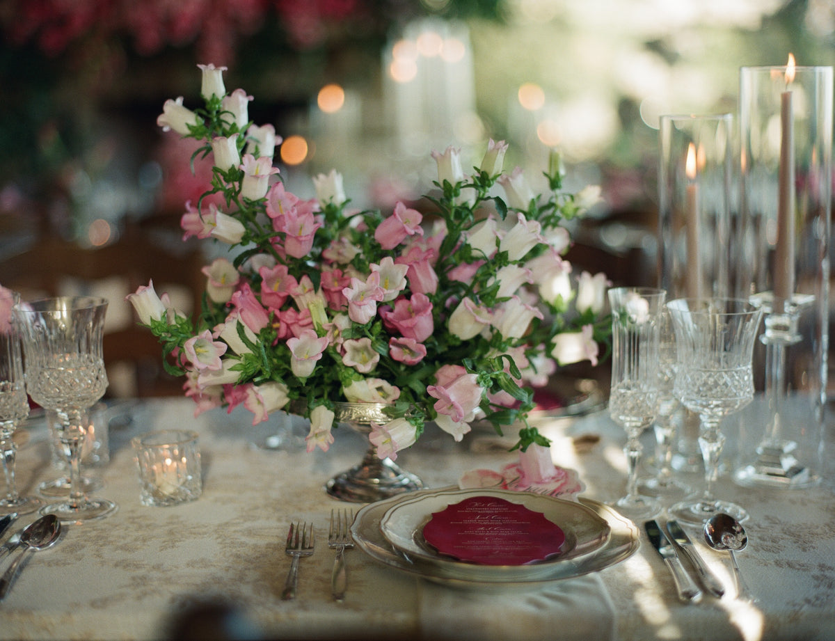 Shannon and David wedding, photograph 8